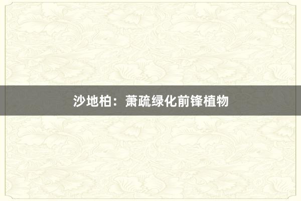 沙地柏：萧疏绿化前锋植物