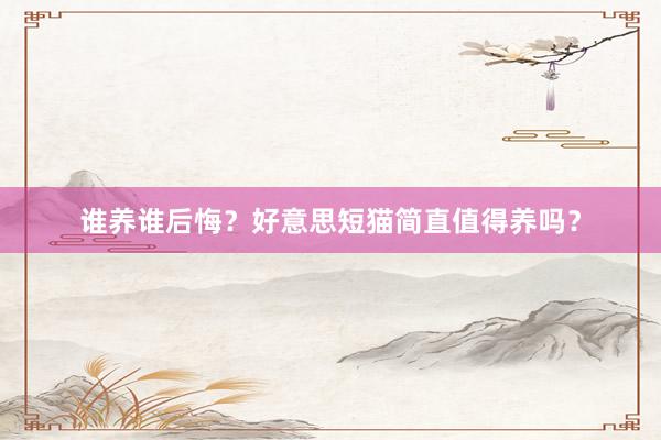 谁养谁后悔？好意思短猫简直值得养吗？